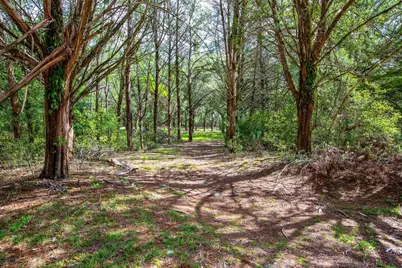 5350 SE 3rd Lane, Trenton, FL 32693 - Photo 4