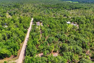 7451 NE 136 Ave, Williston, FL 32696 - Photo 40