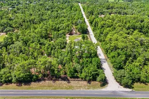 7451 NE 136 Ave, Williston, FL 32696 - Photo 36