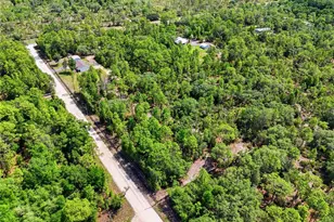 7451 NE 136 Ave, Williston, FL 32696 - Photo 38