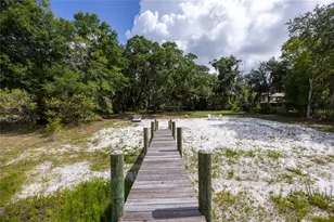 1847 State Road 20, Hawthorne, FL 32640 - Photo 58