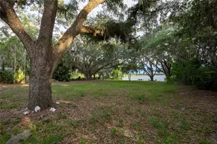 1847 State Road 20, Hawthorne, FL 32640 - Photo 36