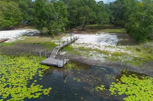 1847 State Road 20, Hawthorne, FL 32640 - Photo 74