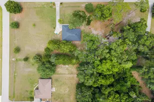 20354 NW 254th Way, High Springs, FL 32643 - Photo 42