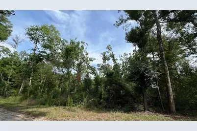 Sw Bumble Street, Fort White, FL 32038 - Photo 2