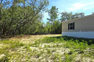 8851 NE 105th Ave, Bronson, FL 32621 - Photo 16