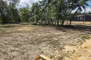 8851 NE 105th Ave, Bronson, FL 32621 - Photo 14