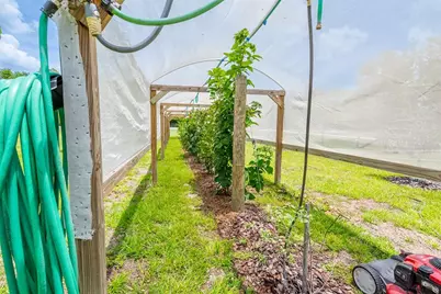 11030 NW 100th Avenue, Chiefland, FL 32626 - Photo 34