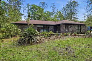 3705 NW 25th Ave, Gainesville, FL 32605 - Photo 2