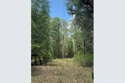 2304 NW 177th Avenue, Gainesville, FL 32609 - Photo 70