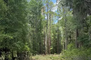2304 NW 177th Ave, Gainesville, FL 32609 - Photo 70