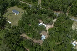 183 S W Rum Island Terrace, Fort White, FL 32038 - Photo 50