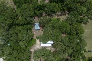 183 S W Rum Island Terrace, Fort White, FL 32038 - Photo 52