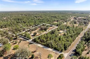 12750 NE 65 St, Williston, FL 32696 - Photo 2