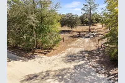 12750 NE 65th Street, Williston, FL 32696 - Photo 4