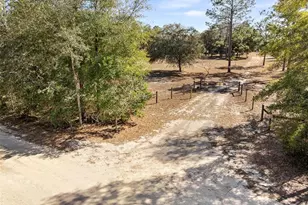 12750 NE 65 St, Williston, FL 32696 - Photo 4