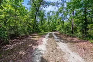 225 NE 543rd Ave, Old Town, FL 32680 - Photo 38