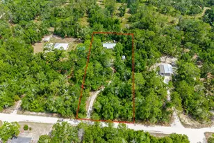 225 NE 543rd Ave, Old Town, FL 32680 - Photo 44