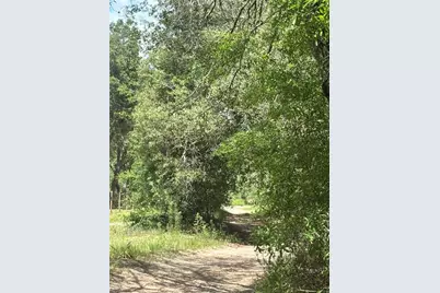 83rd Lane, Bronson, FL 32621 - Photo 4