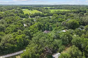 21390 NW 59th Ave, Micanopy, FL 32667 - Photo 32