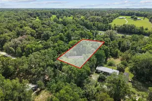 21390 NW 59th Ave, Micanopy, FL 32667 - Photo 30