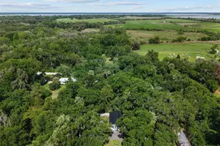 21390 NW 59th Ave, Micanopy, FL 32667 - Photo 36
