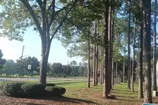 3758 NW 56 Ln, Gainesville, FL 32653 - Photo 36