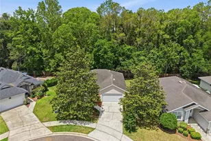 14061 NW 9th Rd, Newberry, FL 32669 - Photo 6