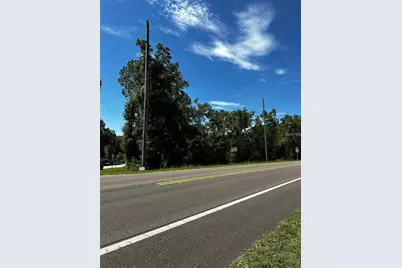 Thrasher Dr, Bronson, FL 32621 - Photo 2