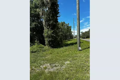 Thrasher Dr, Bronson, FL 32621 - Photo 1
