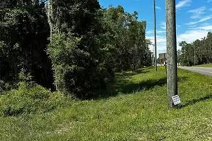 Thrasher Dr, Bronson, FL 32621 - Photo 1