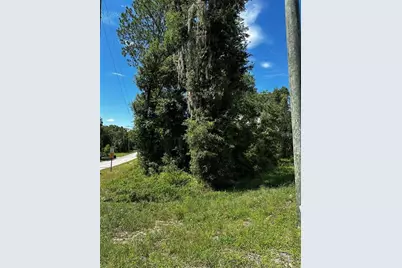 Thrasher Dr, Bronson, FL 32621 - Photo 4