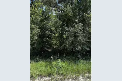 Xx SE 21st Place, Williston, FL 32696 - Photo 1