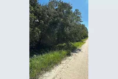Xx SE 21st Place, Williston, FL 32696 - Photo 2
