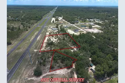 Tbd NE Hwy 27 Alt, Lot 2, Williston, FL 32696 - Photo 4