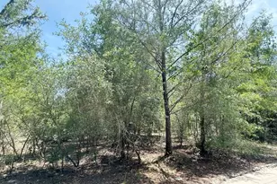 7930 N E 121 St, Bronson, FL 32621 - Photo 1