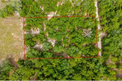 7930 NE 121st Street, Bronson, FL 32621 - Photo 2