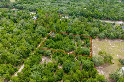 7930 NE 121st Street, Bronson, FL 32621 - Photo 4