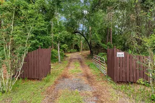7622 SE County Road 234, Gainesville, FL 32641 - Photo 2