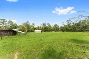 6410 N W 160th St, Alachua, FL 32615 - Photo 34