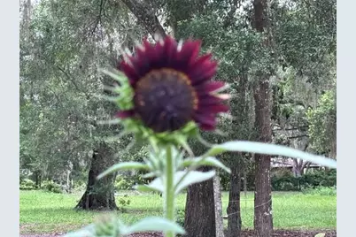 3551 NW 60th Avenue, Chiefland, FL 32626 - Photo 36