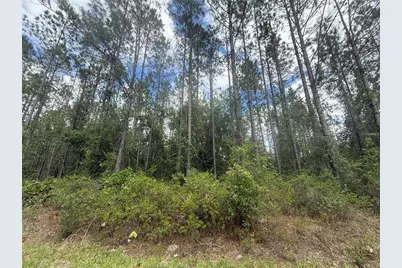Sw 89th Street, Lake Butler, FL 32054 - Photo 2