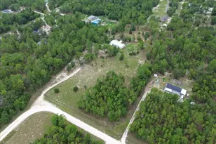 7220 NE 24th Loop, High Springs, FL 32643 - Photo 32