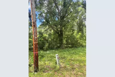 8230 NW 166th Street, Fanning Springs, FL 32693 - Photo 2