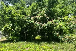 206 NE 13th Ave, Chiefland, FL 32626 - Photo 1