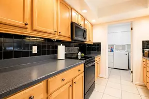 11904 Trevino Pl, Tampa, FL 33624 - Photo 16