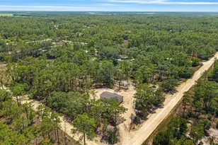 14830 SE 21st Pl, Morriston, FL 32668 - Photo 50