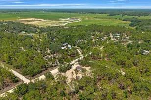 14830 SE 21st Pl, Morriston, FL 32668 - Photo 54
