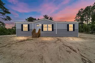 14830 SE 21st Pl, Morriston, FL 32668 - Photo 1