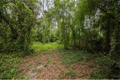 229 SW Barwick Terrace, Lake City, FL 32024 - Photo 34